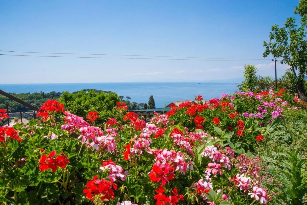 Bed & Breakfast Le Clementine B&B Camogli