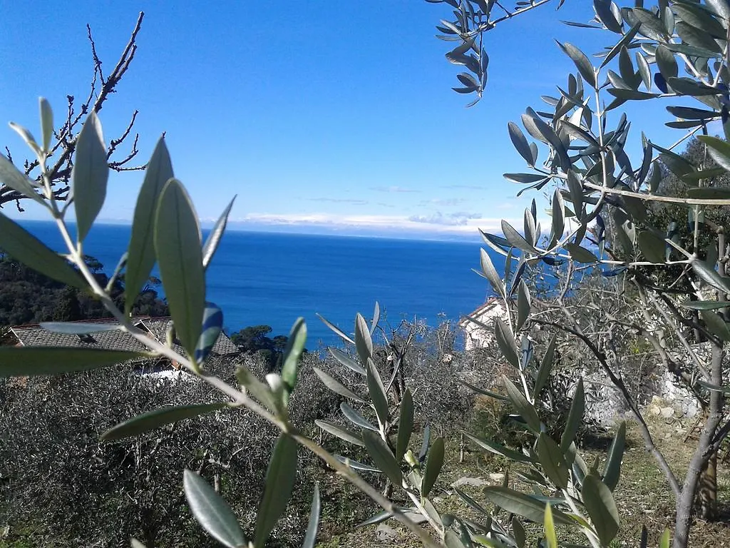 Le Clementine B&B Camogli