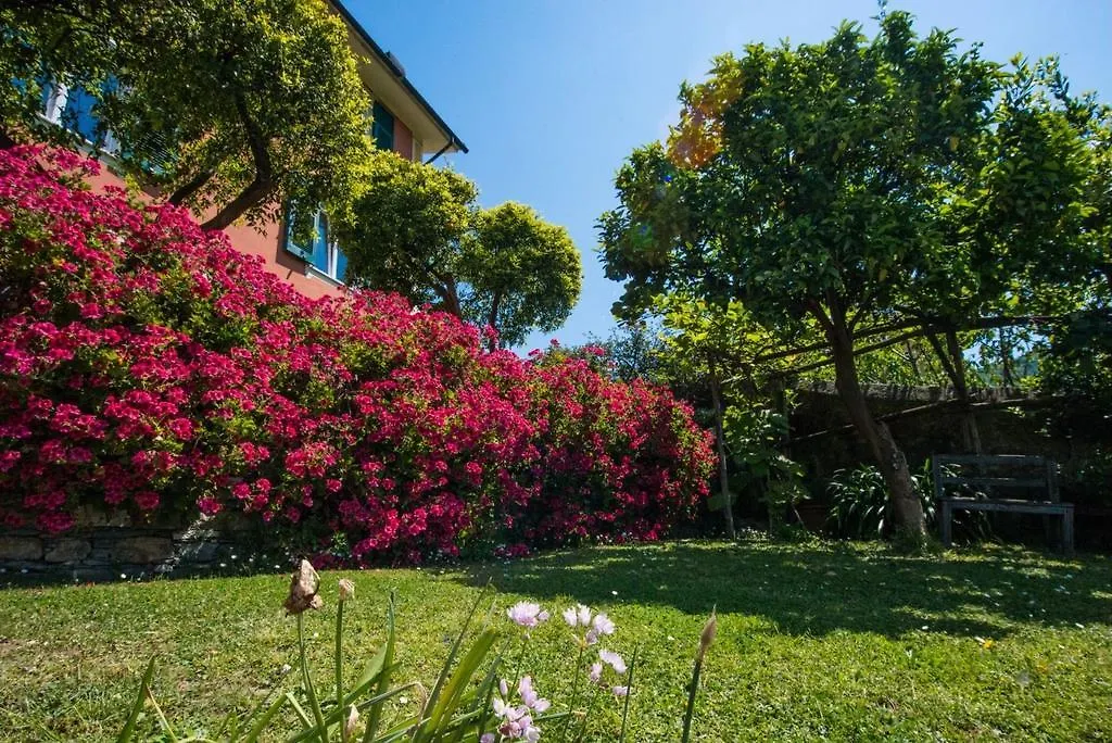 Le Clementine B&B Camogli 3*,  Italy